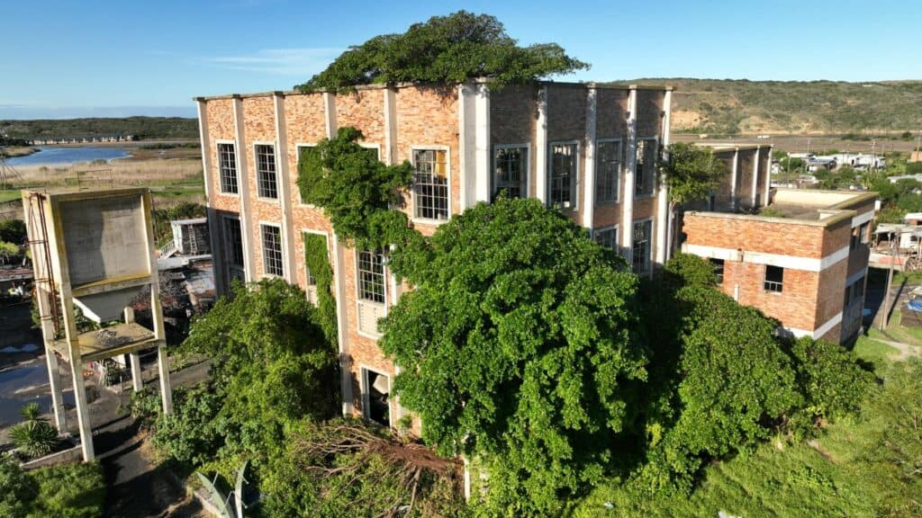 And abandoned power Plant in Mossel Bay with trees growing out of it